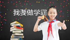 小学学霸专题系列资料包-学科资源网