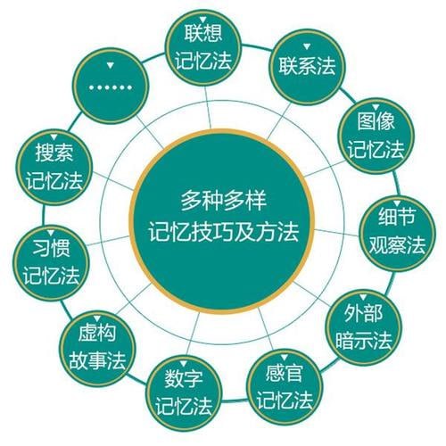 中小学必备高效记忆法 解锁学习潜能-学科资源网