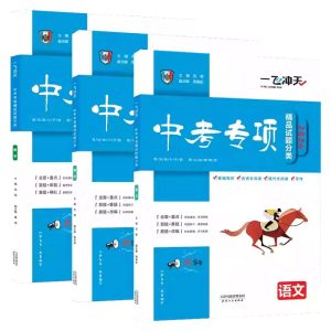 《一飞冲天》中考专项试题合集-学科资源网