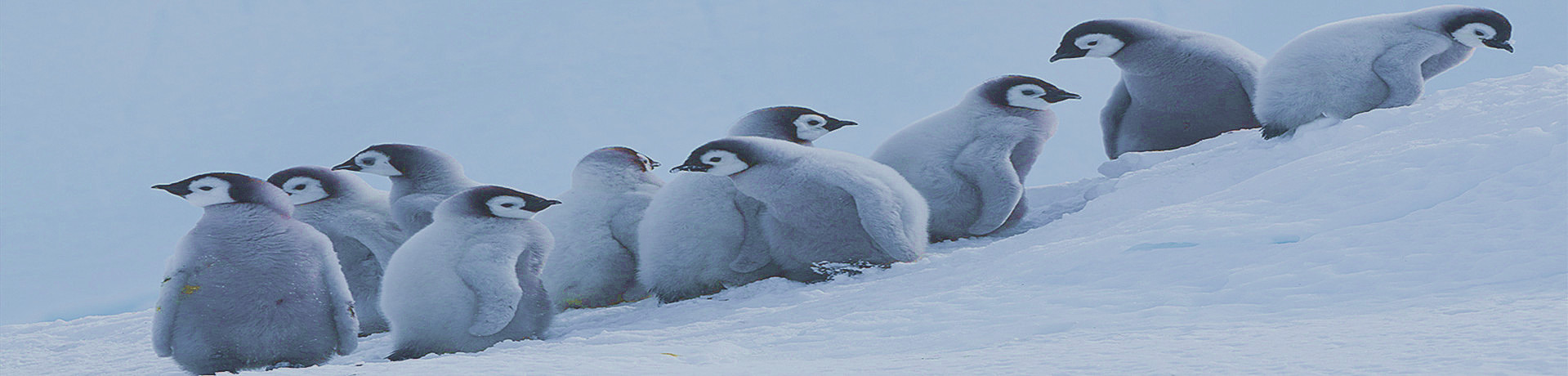 幻灯片-学科资源网